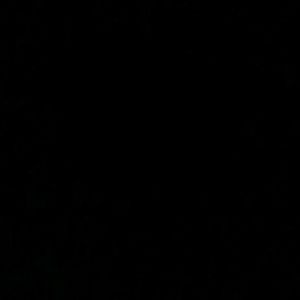 Meet your Posher, Bill